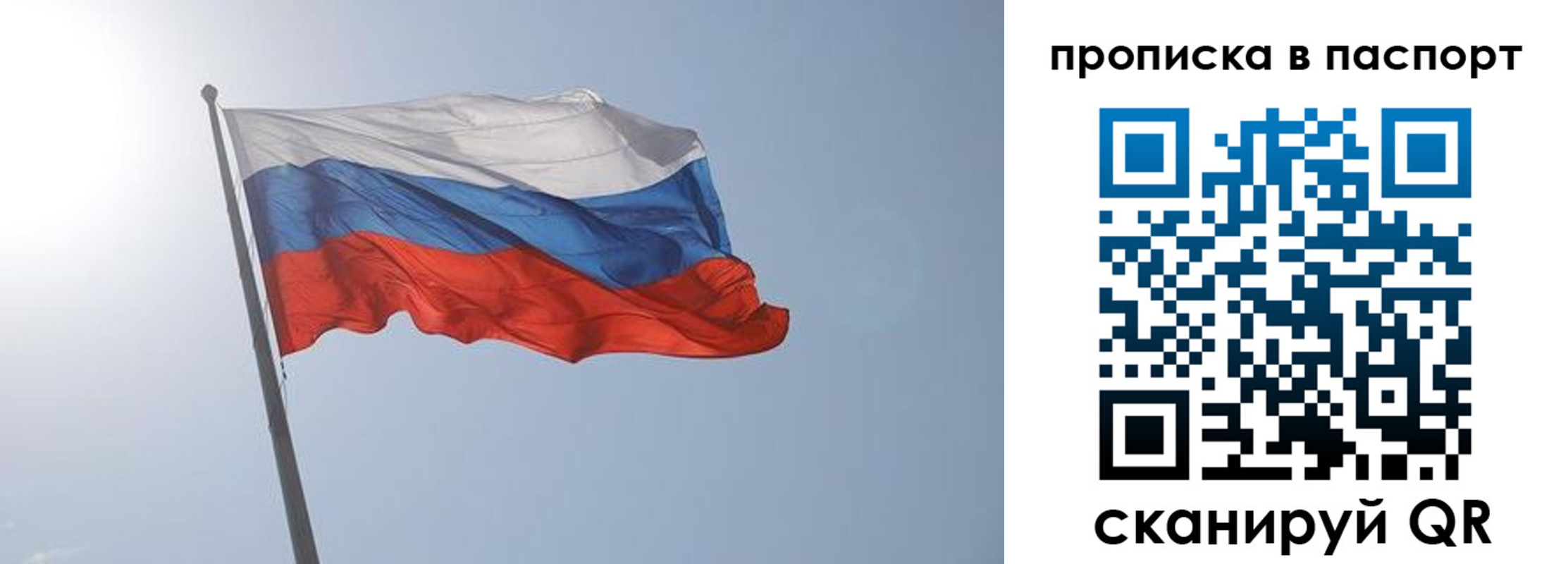 прописка для школы в Звенигово