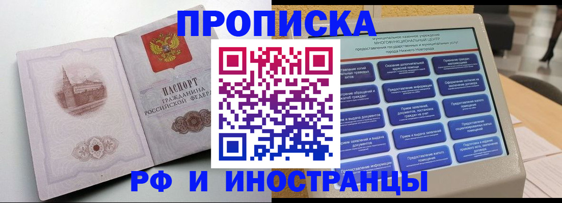 прописка поиск в Звенигово